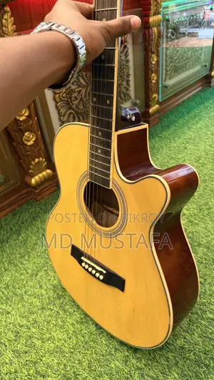 বাদ্য যন্ত্র গিটার