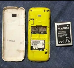 Samsung Guru Music 2 White
