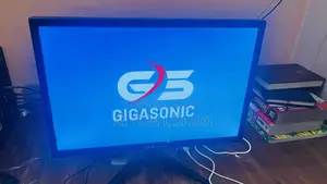 Gigasonic Rb-G20s-400c 20 Inch Hd Led Monitor