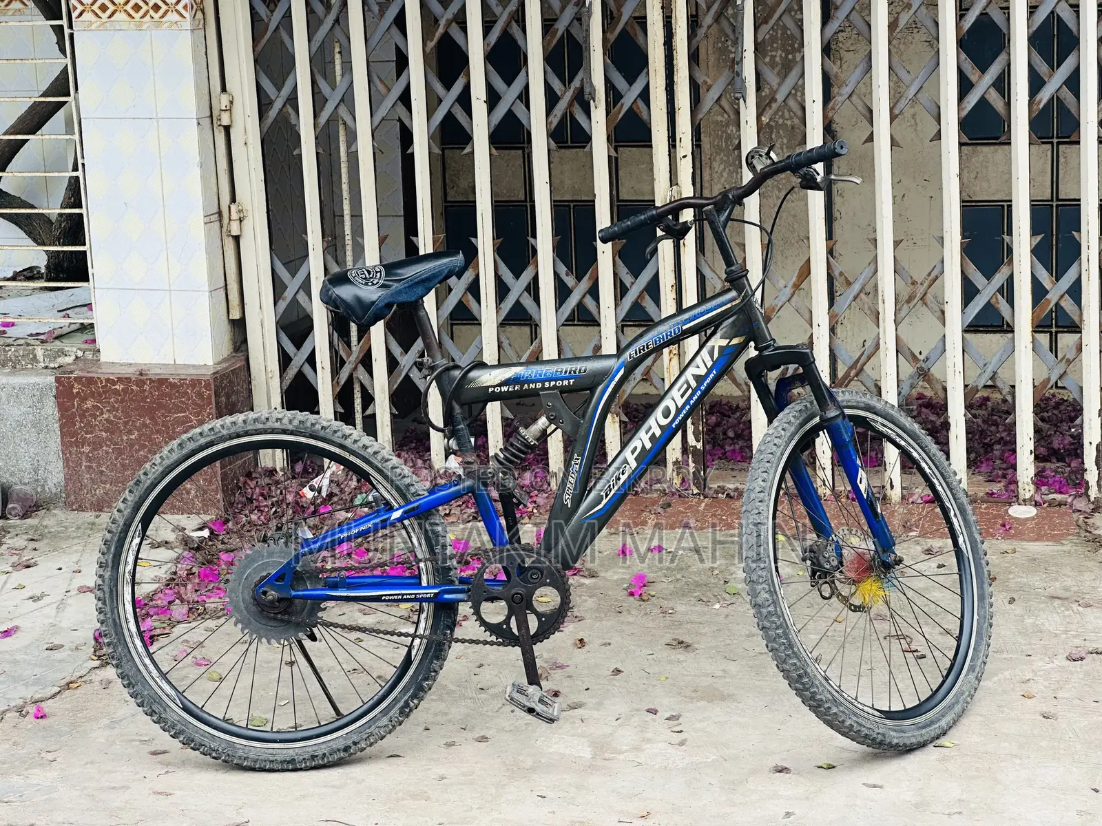 Phonix Fire Bird Cycle