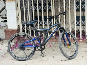 Phonix Fire Bird Cycle