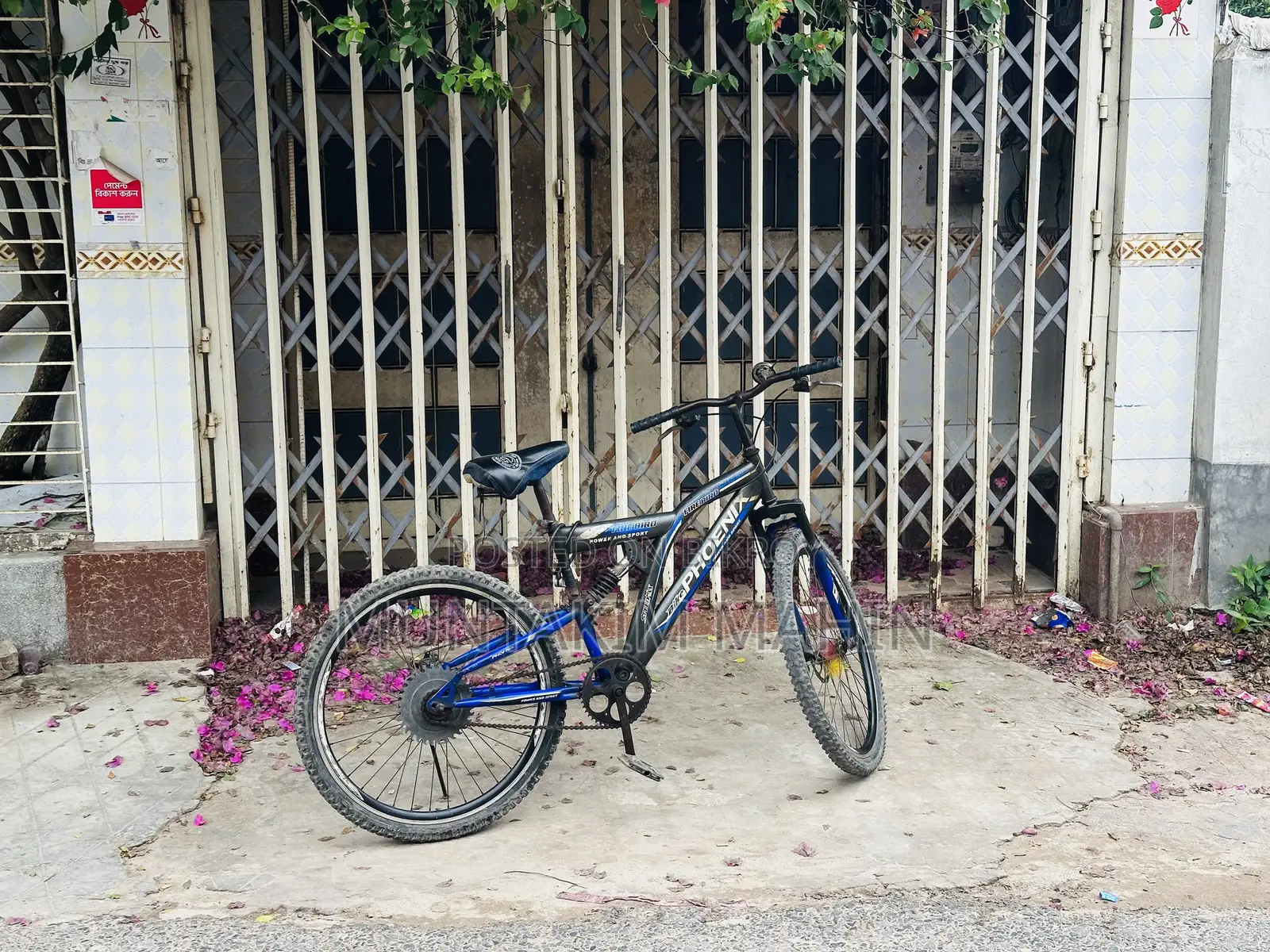 Phonix Fire Bird Cycle
