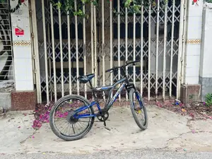 Phonix Fire Bird Cycle