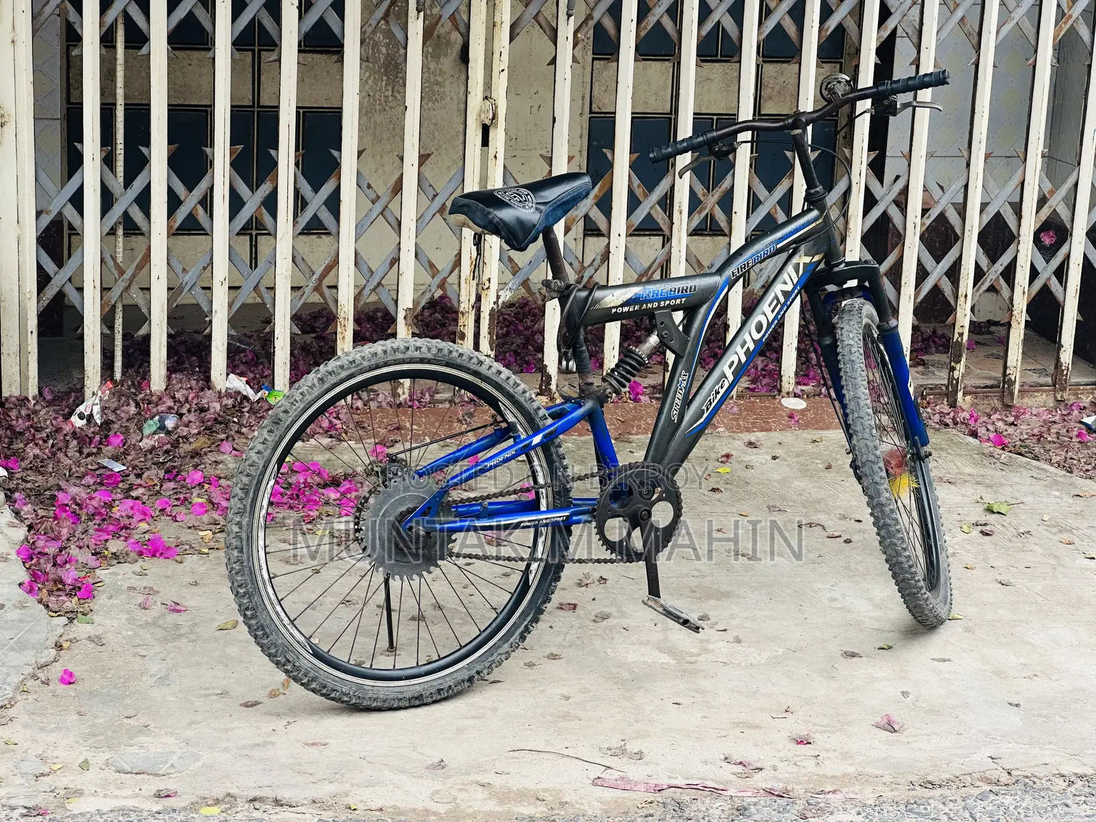Phonix Fire Bird Cycle