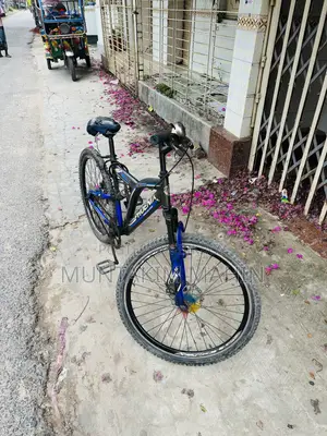 Phonix Fire Bird Cycle