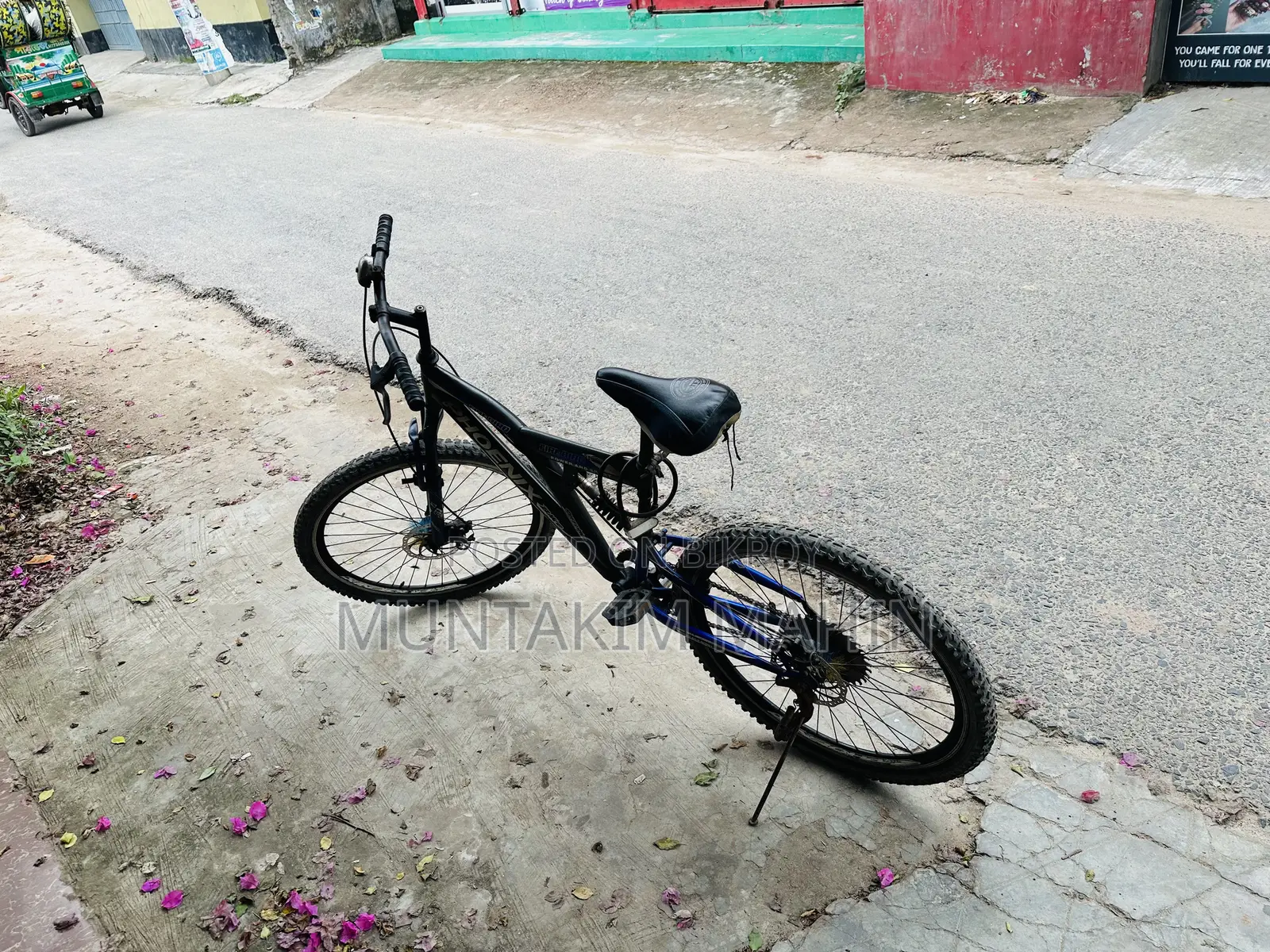 Phonix Fire Bird Cycle