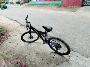 Phonix Fire Bird Cycle