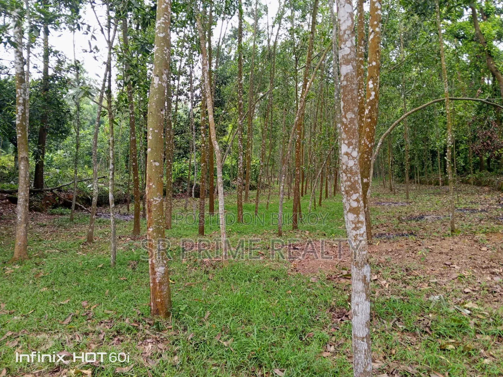 127 Decimal Land with Garden next to 20 ft Road - Kaliakair, Jathila