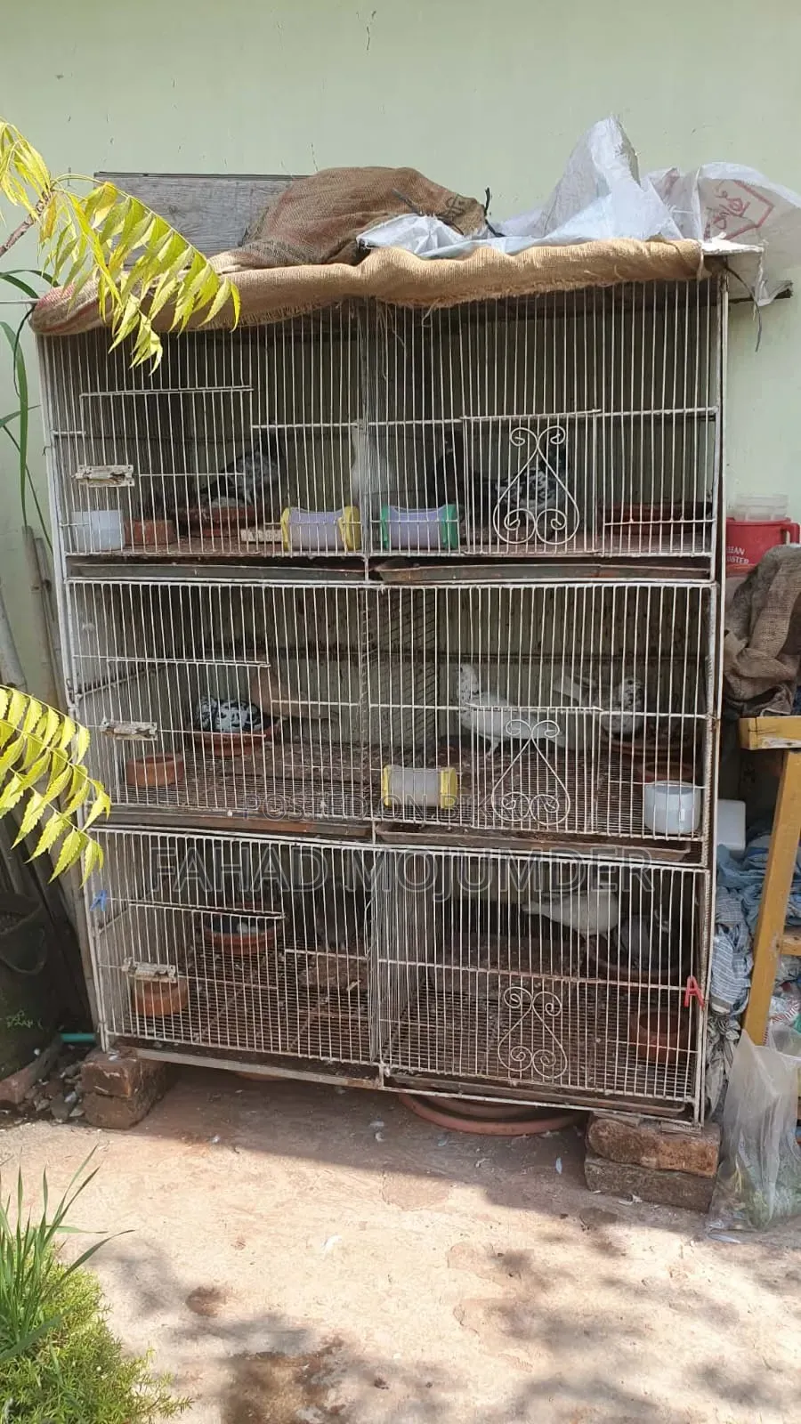 কবুতর খাচা