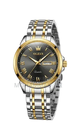 Olevs Handsome Watch