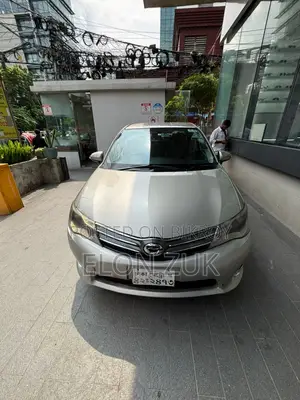 Toyota Axio 2013 Gold