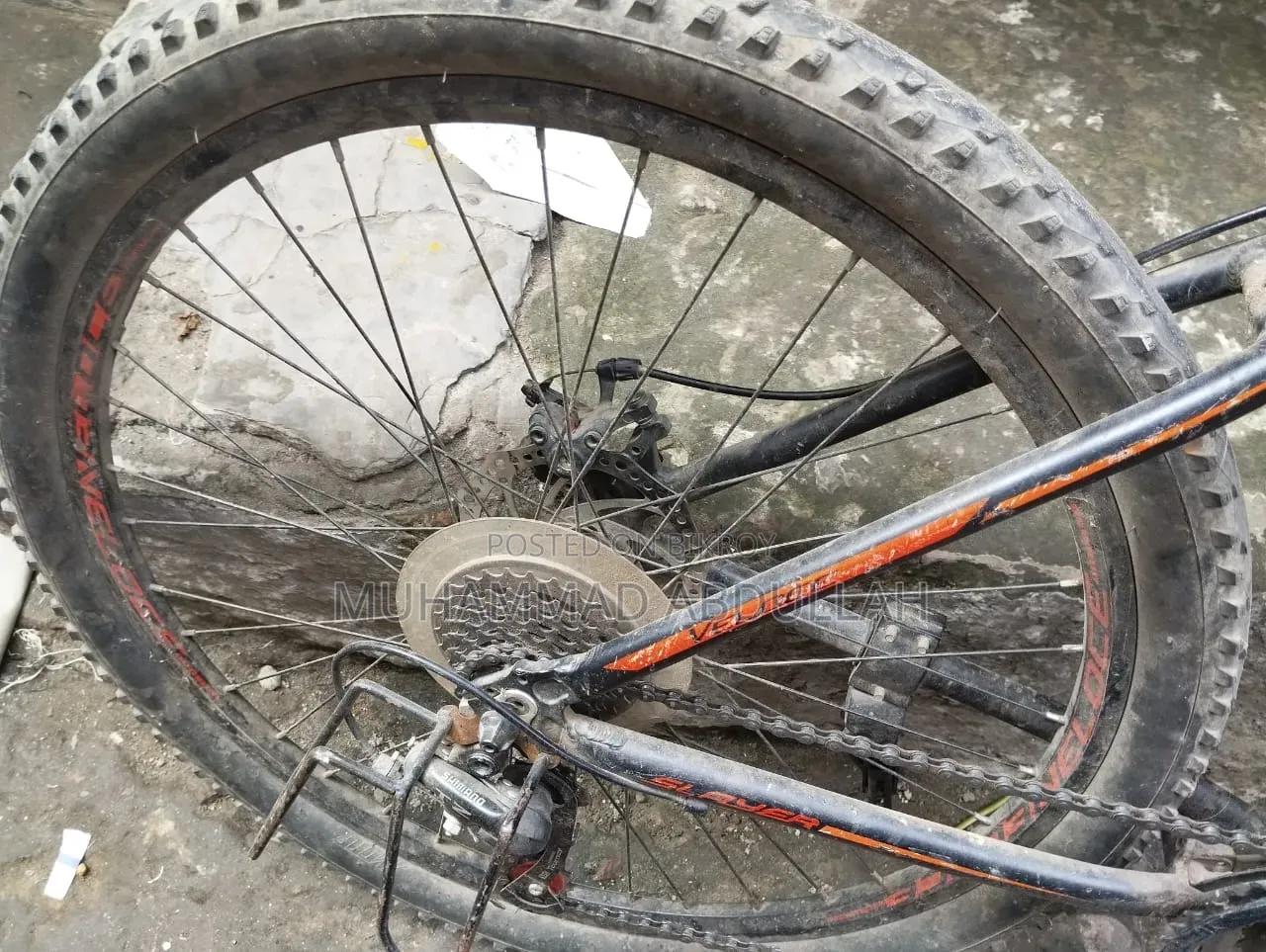 Veloce Cycle