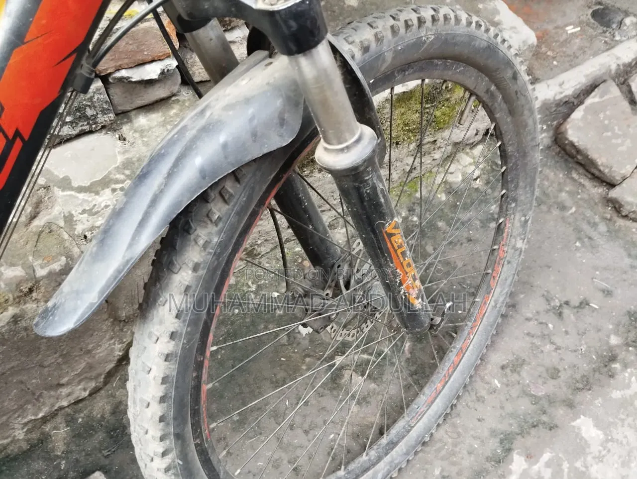 Veloce Cycle