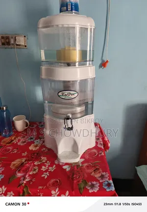Water filter