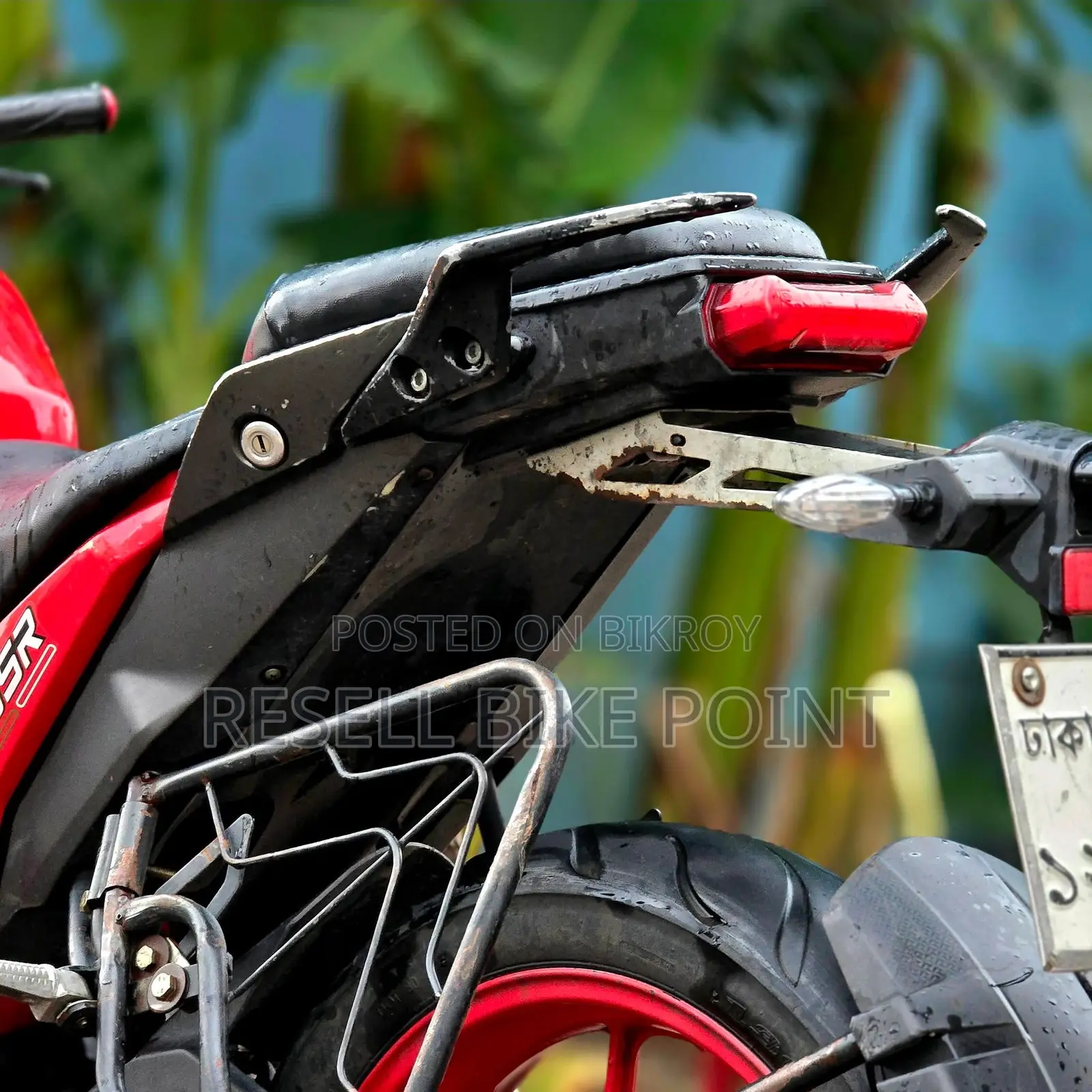 Runner Bolt 165R 2023 Red