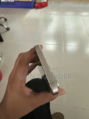 Apple iPhone 15 Pro Max 256 GB Gray