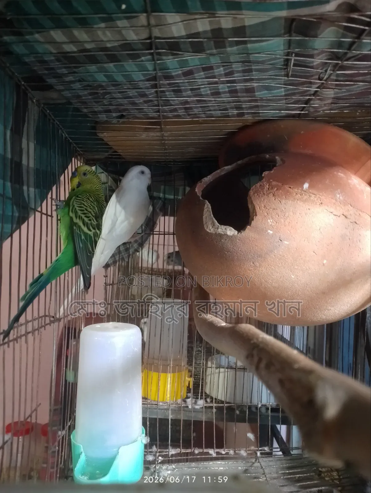 Emergency সেল হবে