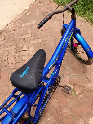 প্রিন্স প্লাস ২৪ ইঞ্চি ডিস্ক ব্রেক সাইকেল – অফিস ব্যবহারের উপযোগী