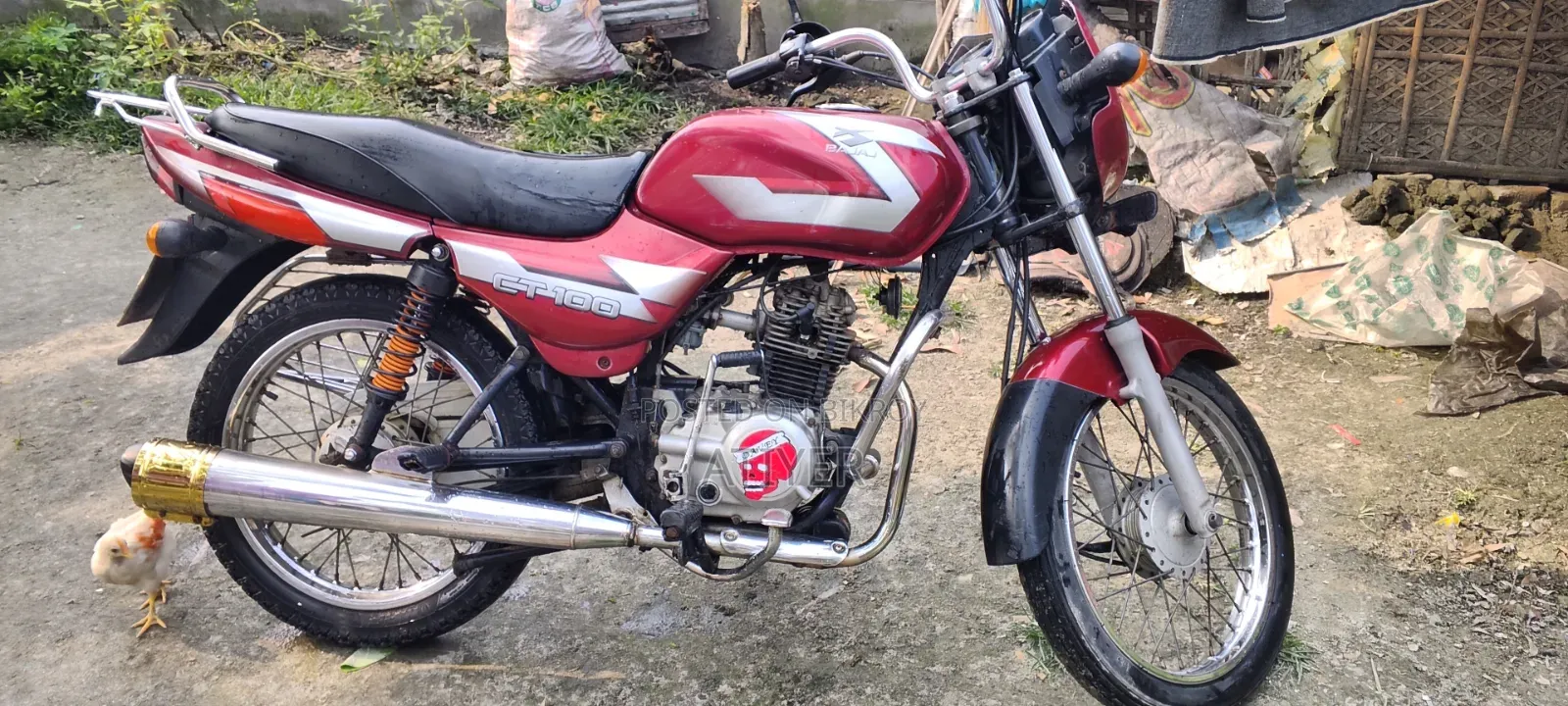 Bajaj CT 100 2013 Red