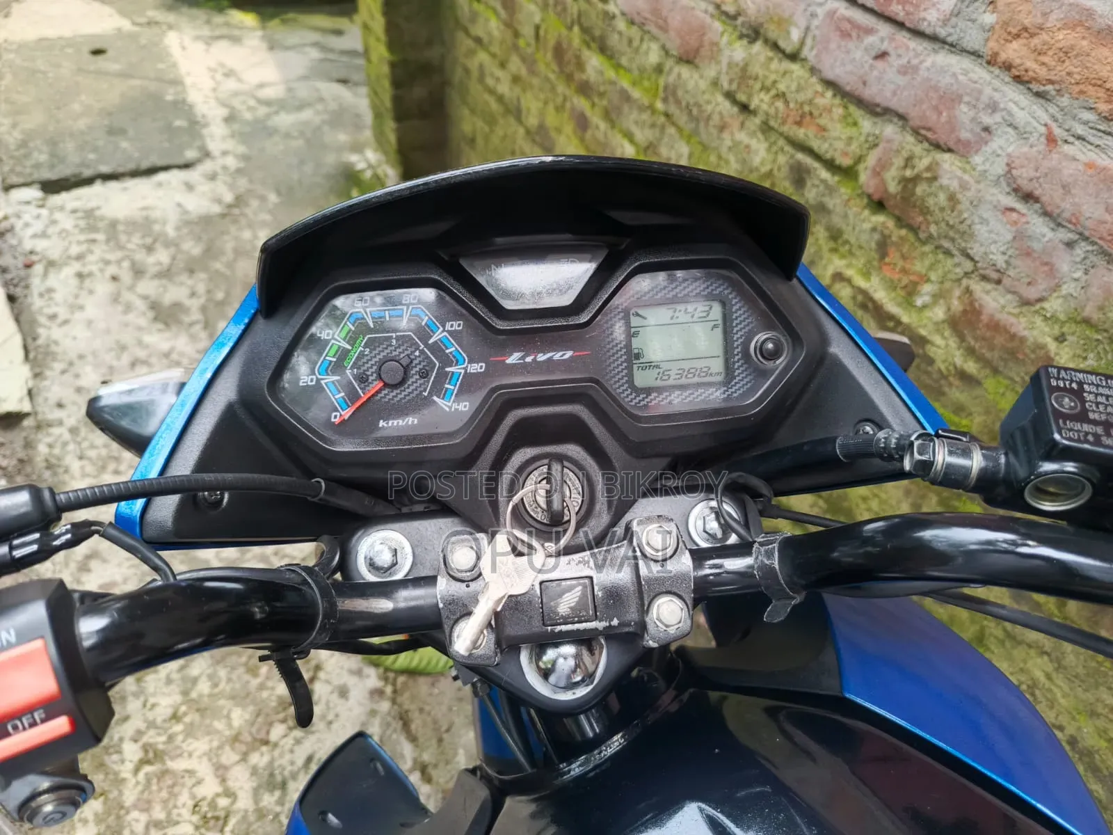 Honda 2024 Black