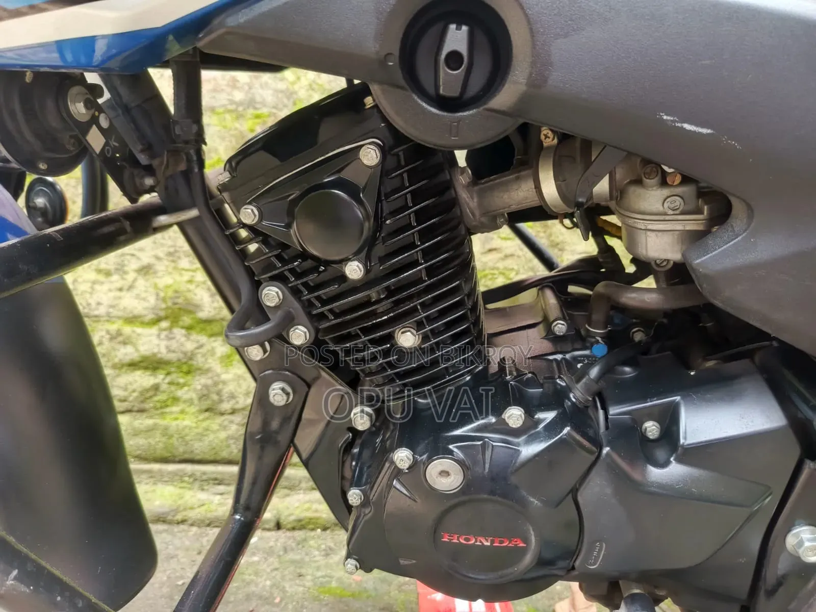 Honda 2024 Black
