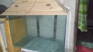 একুরিয়াম বিক্রি হবে।