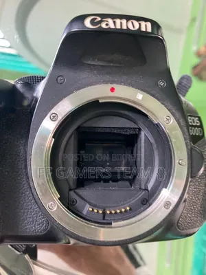 ক্যানন ইওএস ৬০০ডি