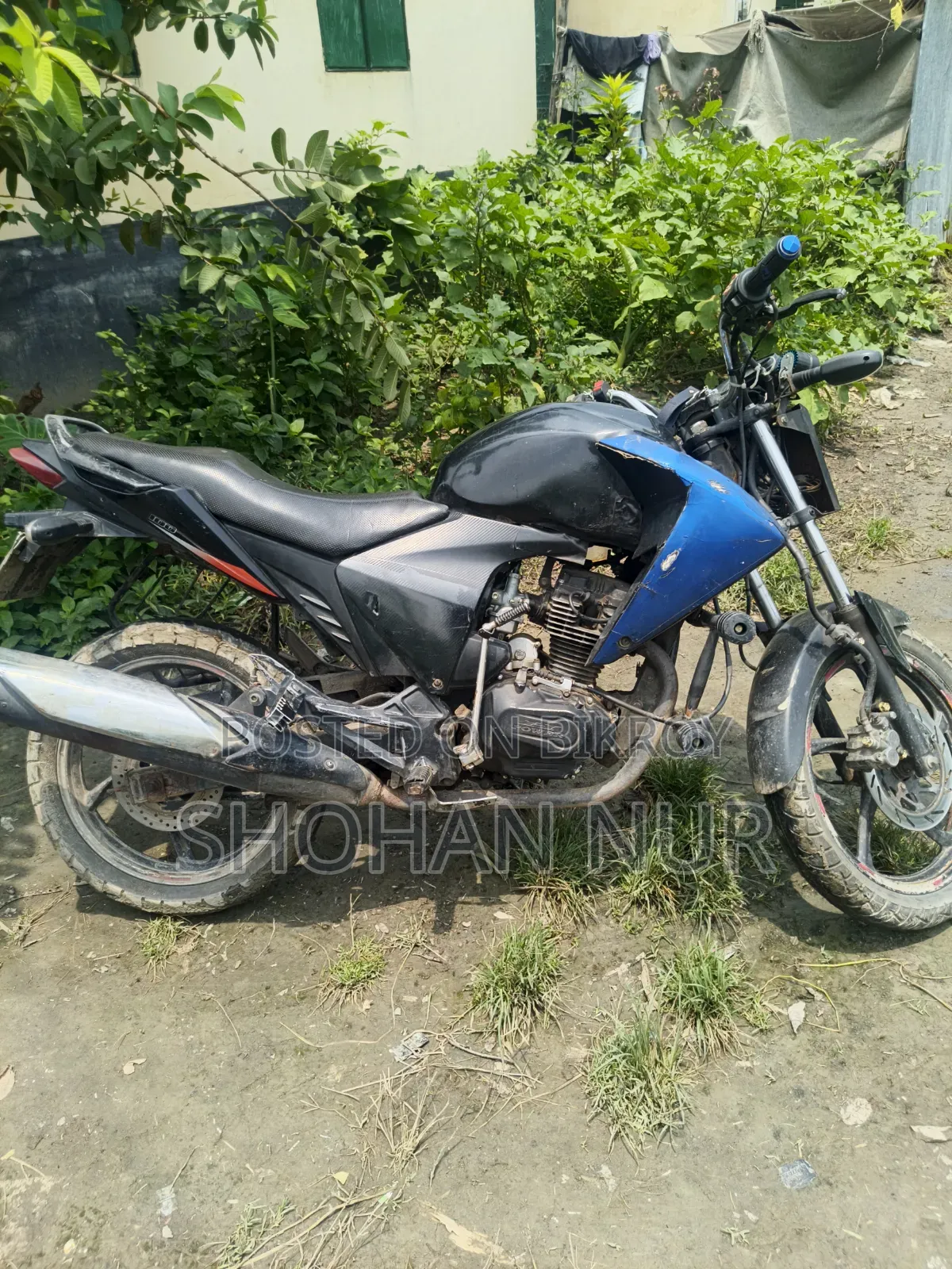 H Power STAR-100 2016 Black