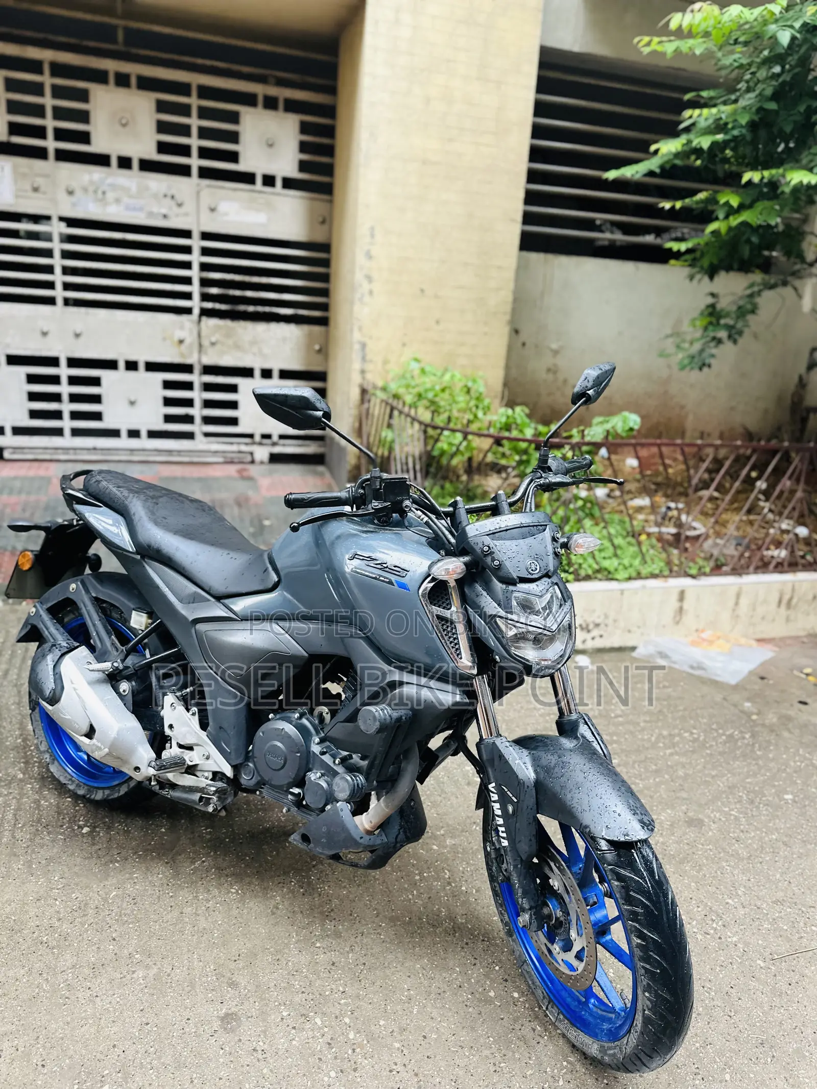Yamaha 2022 Gray
