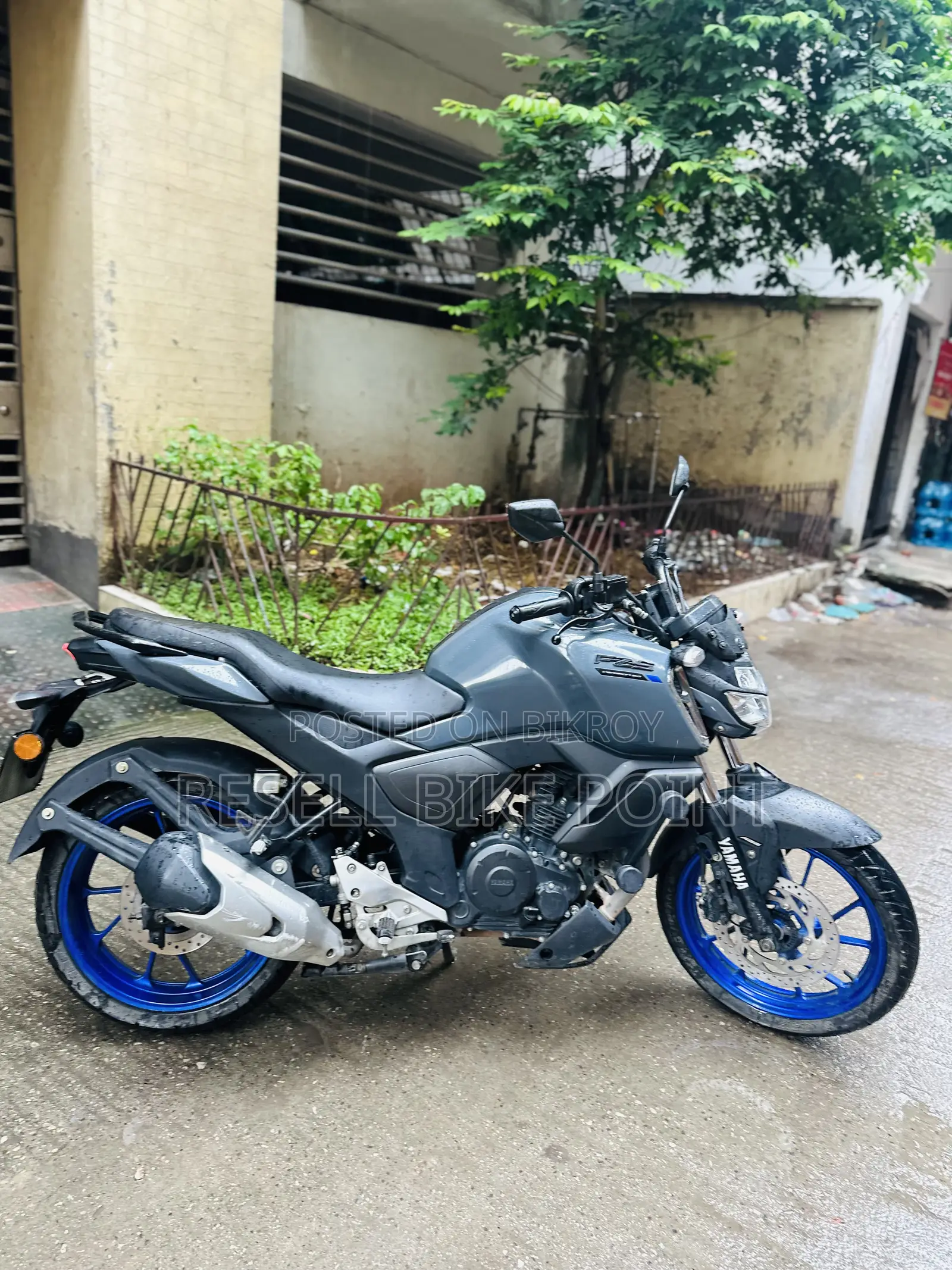 Yamaha 2022 Gray