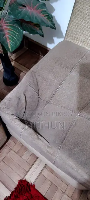 Divan Cum Sofa Set for Sell