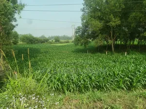 ঢাকা-টাঙ্গাইল হাইওয়ে সংলগ্ন একক মালিকানাধীন ৫৬০ শতক জমি