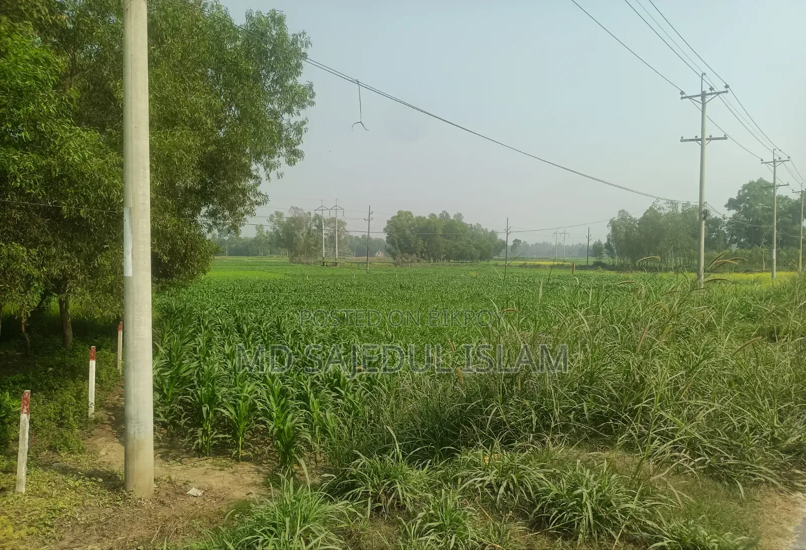 ঢাকা-টাঙ্গাইল হাইওয়ে সংলগ্ন একক মালিকানাধীন ৫৬০ শতক জমি