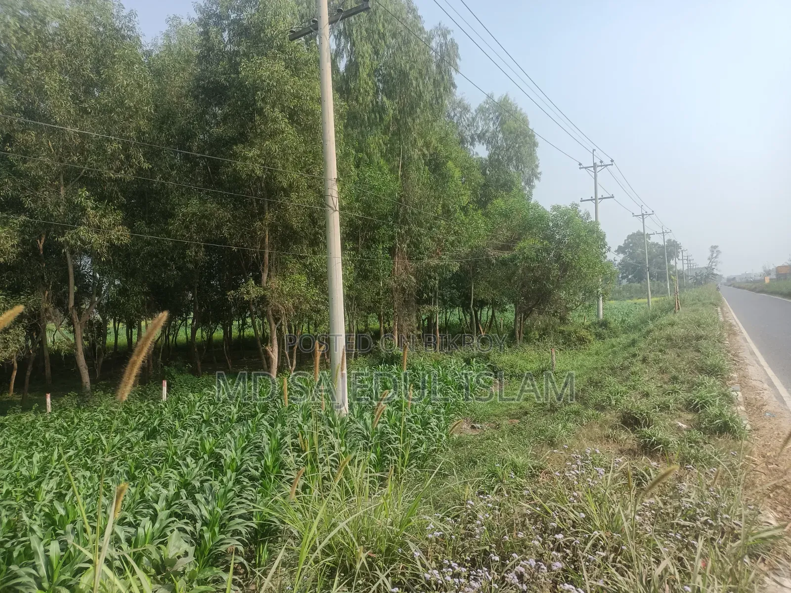ঢাকা-টাঙ্গাইল হাইওয়ে সংলগ্ন একক মালিকানাধীন ৫৬০ শতক জমি