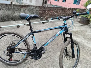 Apple "Phase Iii" Sporty Mountain Bi-Cycle