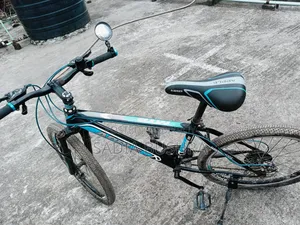 Apple "Phase Iii" Sporty Mountain Bi-Cycle