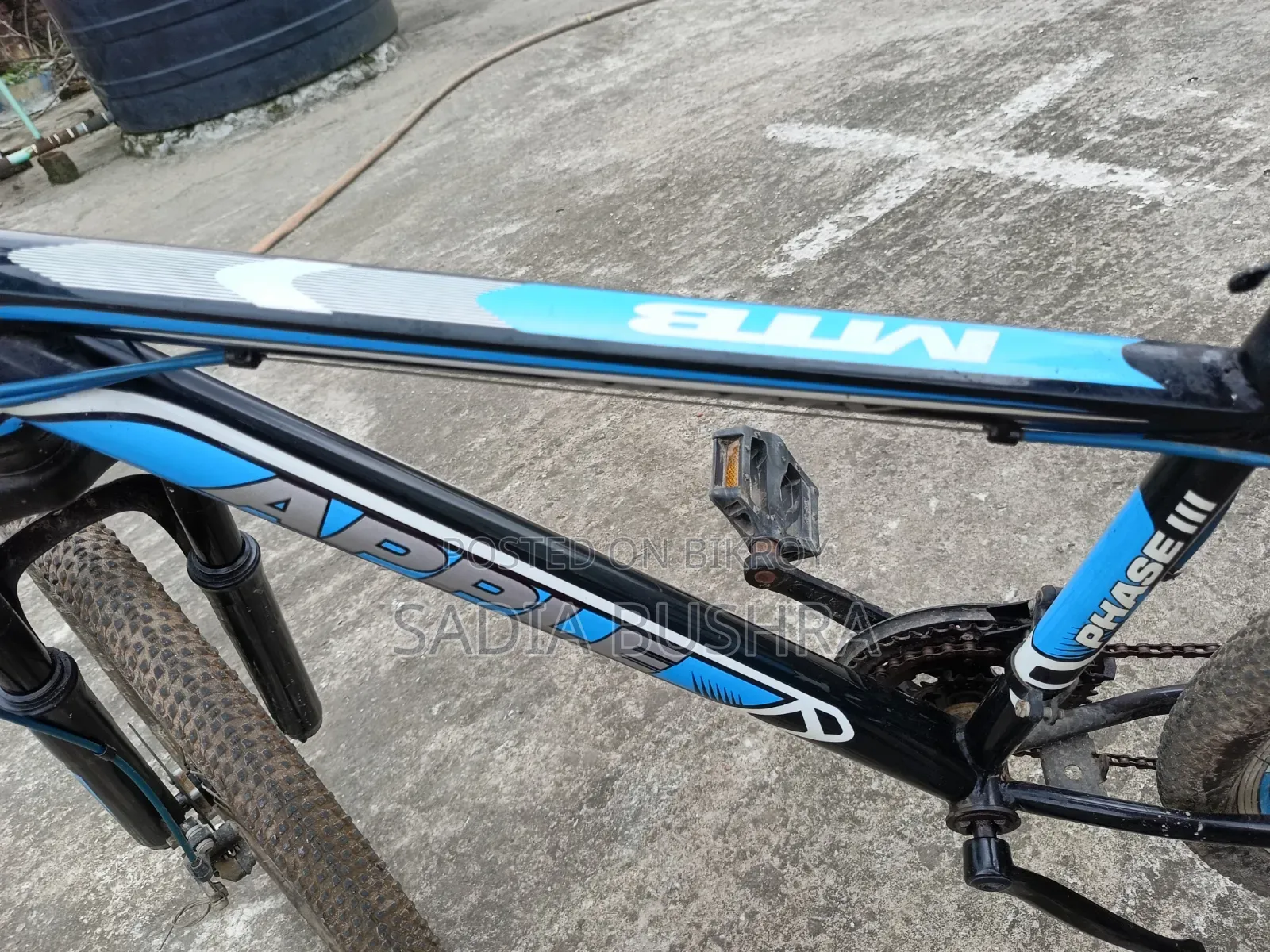 Apple "Phase Iii" Sporty Mountain Bi-Cycle