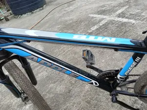 Apple "Phase Iii" Sporty Mountain Bi-Cycle
