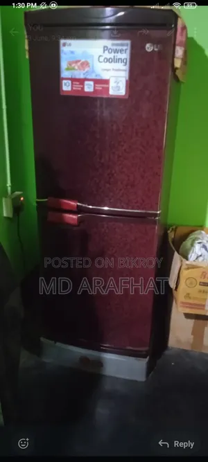 LG Butterfly Fridge