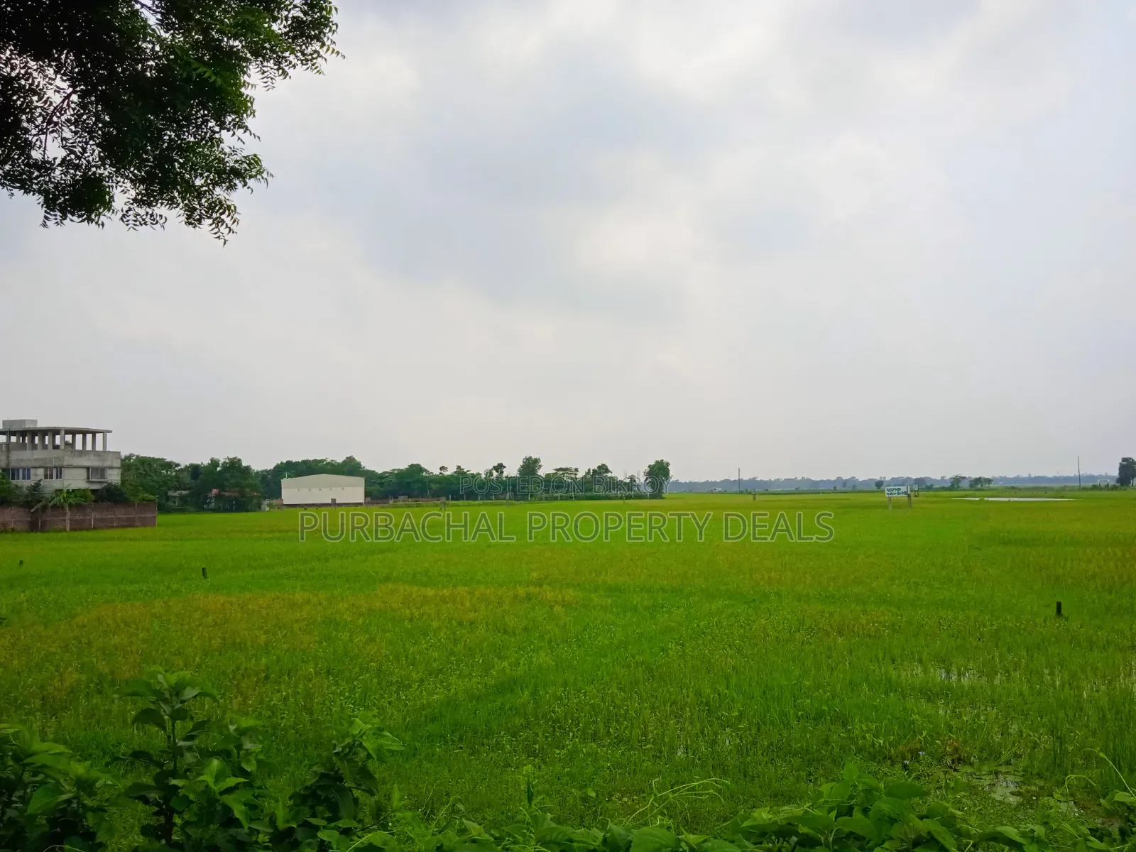 পূর্বাচল সংলগ্ন মেগা হাউজিং/আবাসন প্রকল্পের জন্য বিশাল জমি বিক্রয়