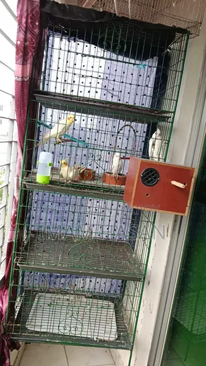 4-story cage for sale