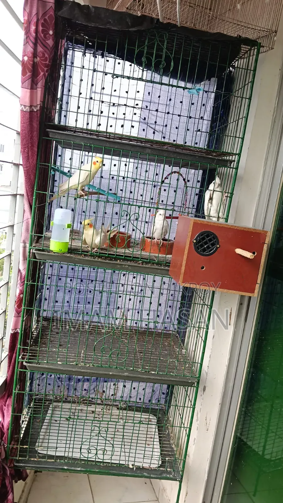 4-story cage for sale