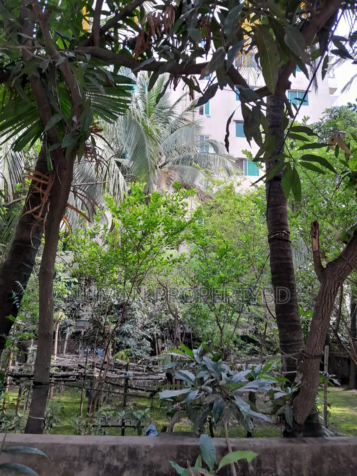 Bashundhara Residential Area E Block 03 Katha Plot For Sale
