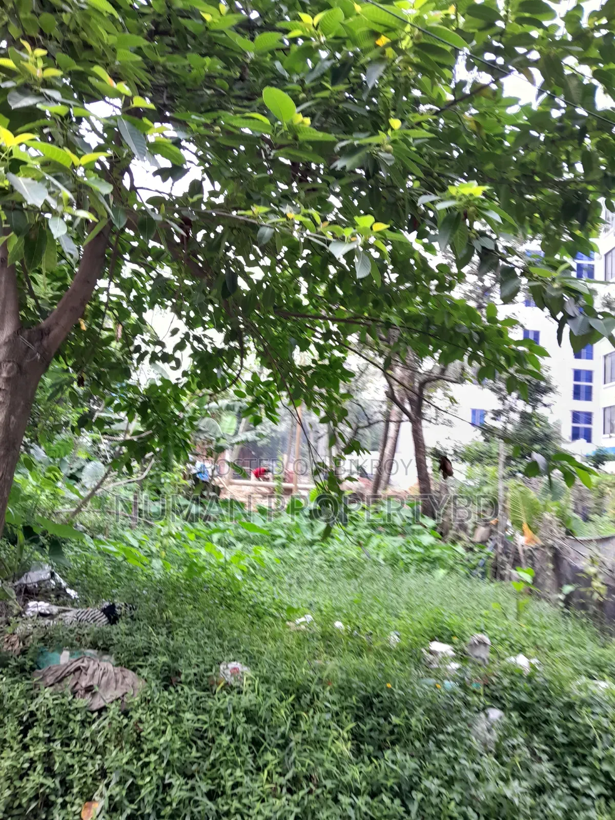 Bashundhara Residential Area E Block 03 Katha Plot For Sale