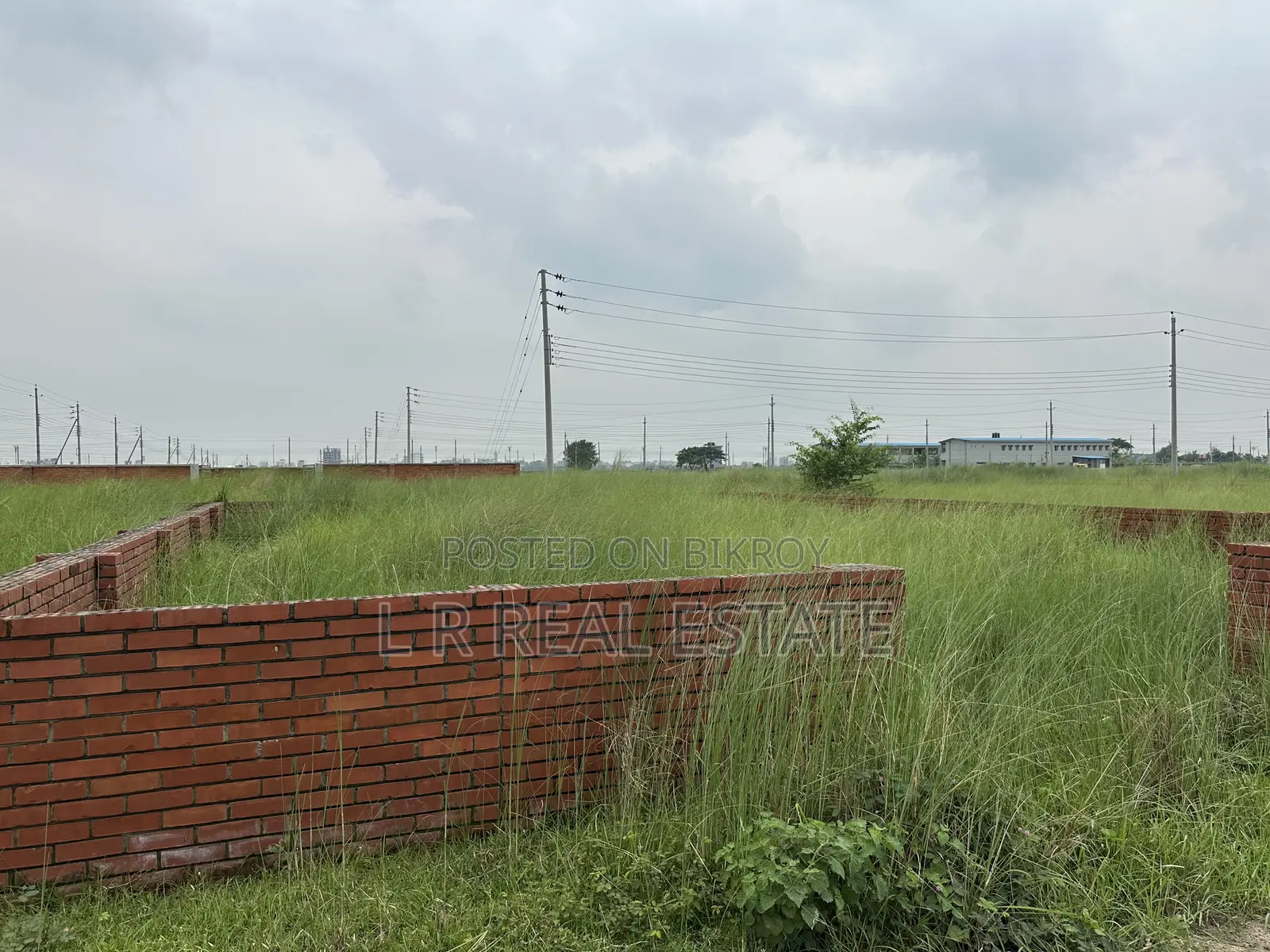 Block-P,3-Katha,South-Face,Plot Urgent Sell for Bashundhara R/A