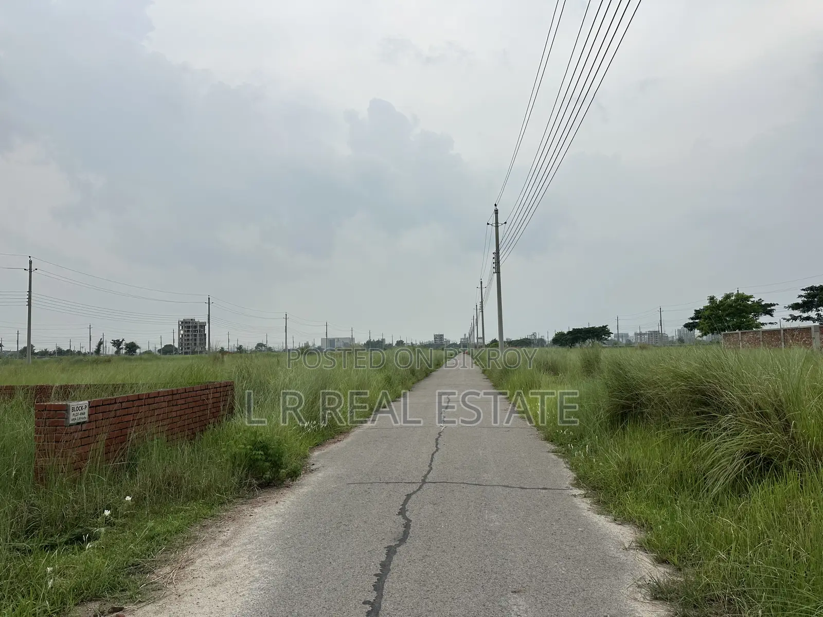 Block-P,3-Katha,South-Face,Plot Urgent Sell for Bashundhara R/A