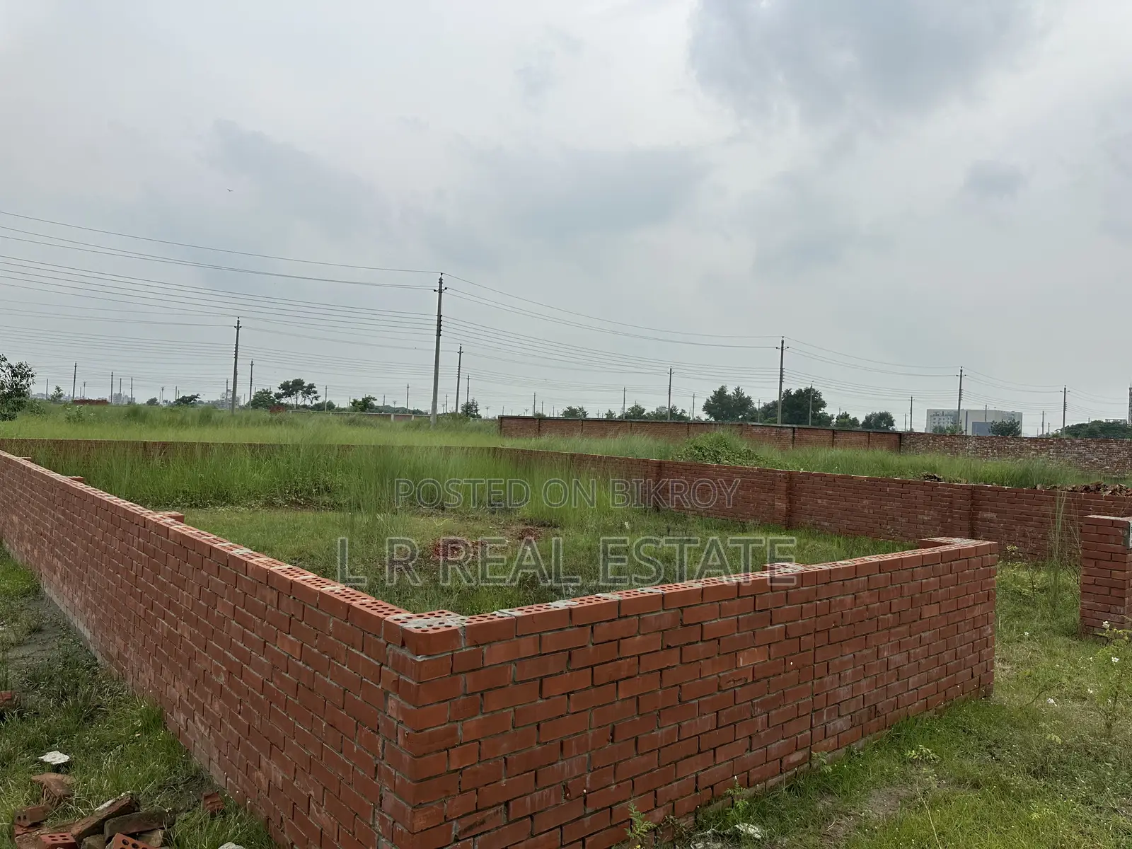 Block-P,3-Katha,South-Face,Plot Urgent Sell for Bashundhara R/A