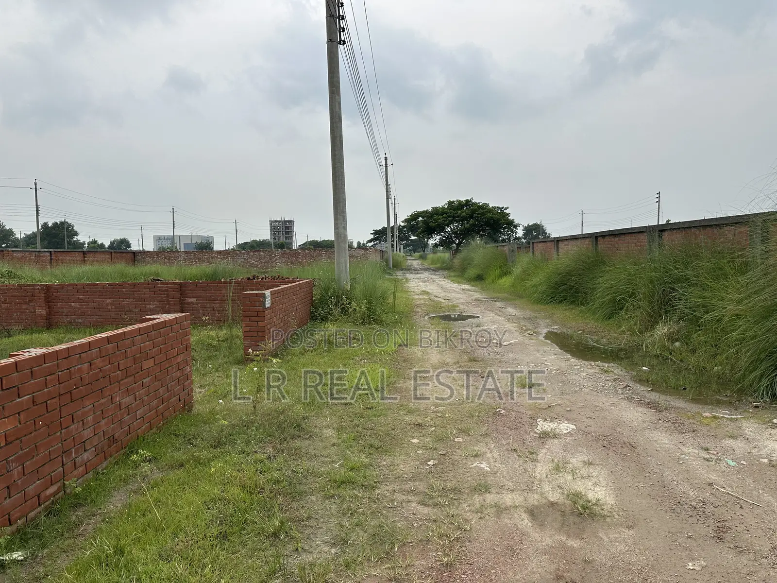 Block-P,3-Katha,South-Face,Plot Urgent Sell for Bashundhara R/A