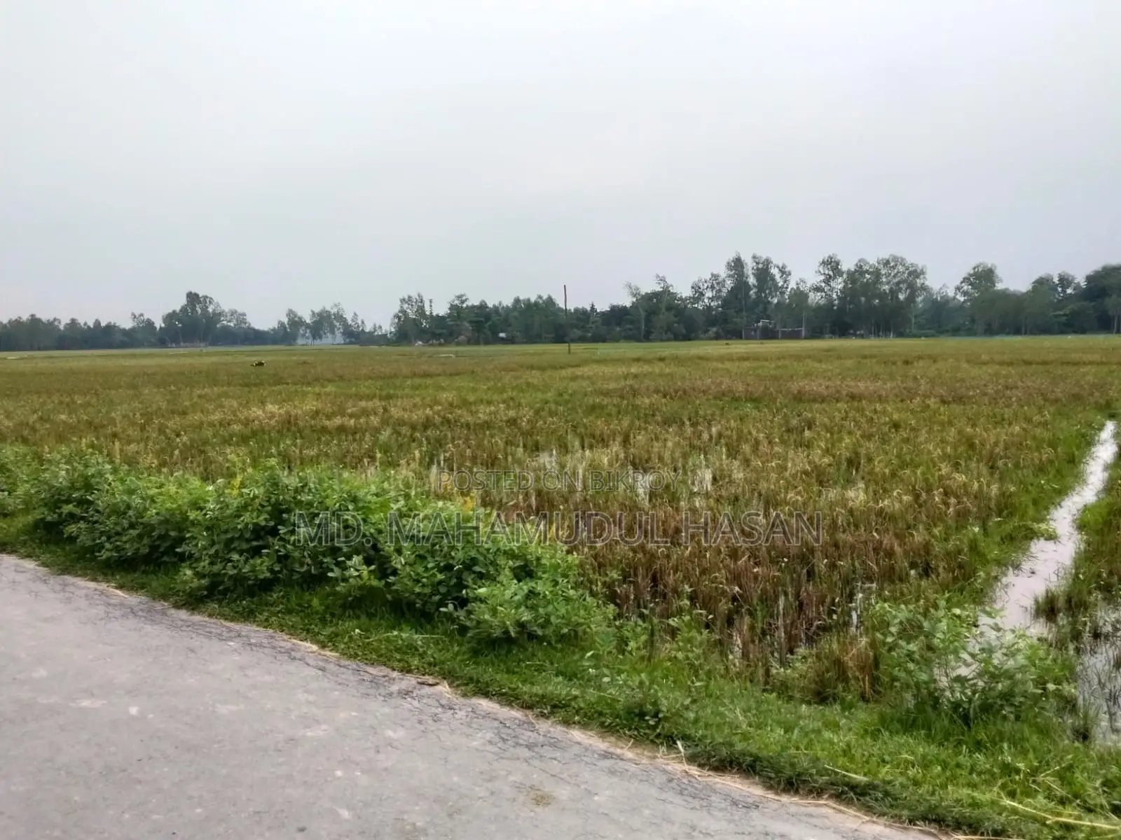 জমি বিক্রয় হবে