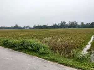 জমি বিক্রয় হবে